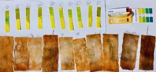 0款洗衣液洗衣凝珠全面对比评测pg电子模拟器试玩经典品牌1(图4)